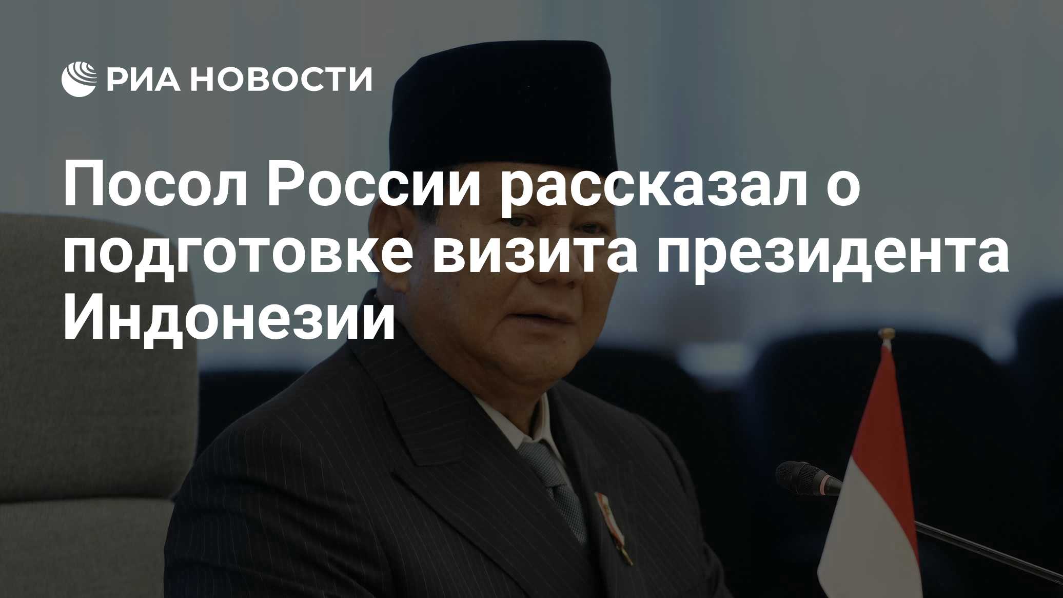 Посол России рассказал о подготовке визита президента Индонезии