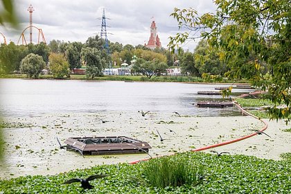 В Москве нашли новый способ борьбы с водорослями