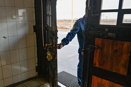 Россиянин несколько лет насиловал двух несовершеннолетних девочек