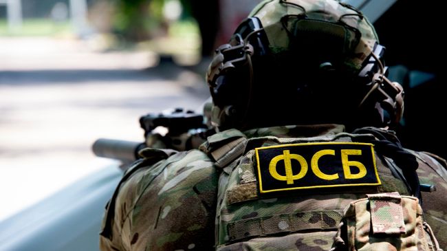 Жительницу Камчатки задержали по подозрению в госизмене