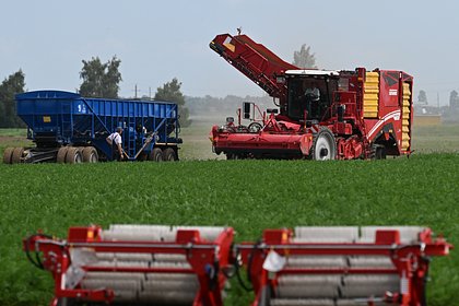 В России собрались увеличить долю российских комбайнов и тракторов