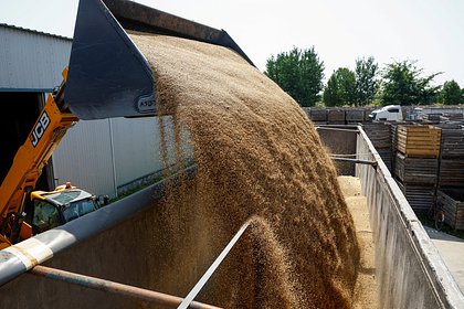 В ЕС сочли ущербными для Европы поставки зерна с Украины