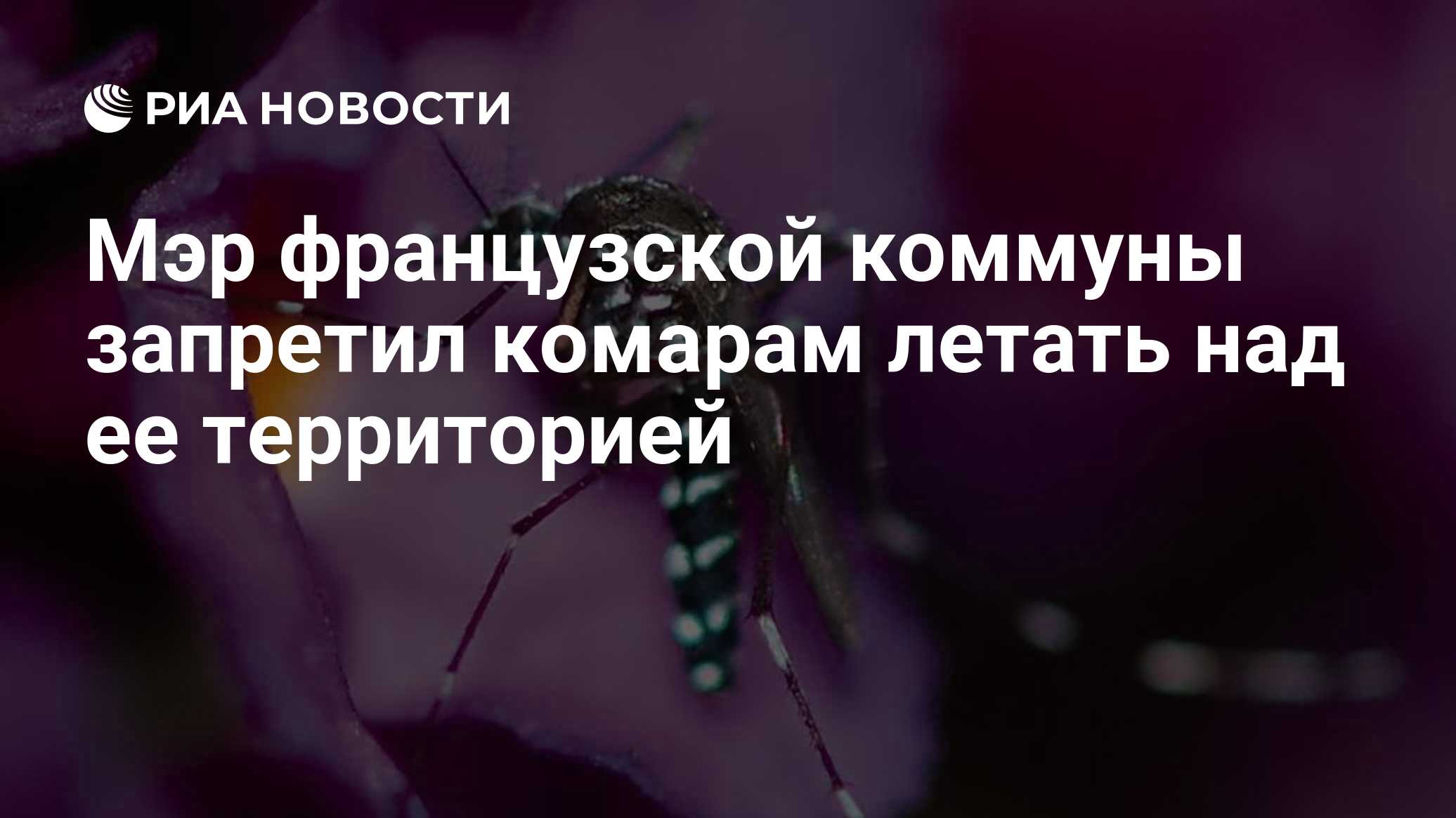 Мэр французской коммуны запретил комарам летать над ее территорией