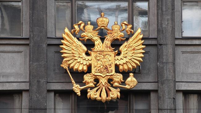 В Госдуме предложили ввести "родительскую зарплату" в размере МРОТ