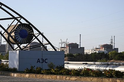 Гросси обратился к России и Украине