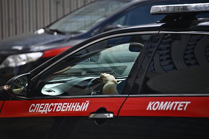 Появились данные о пропавшей 1 сентября и найденной без признаков жизни российской девочке
