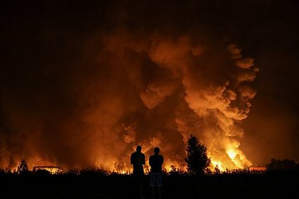 Названы пораженные цели в Киеве