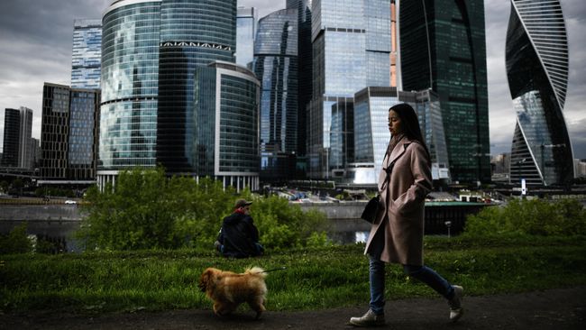 Россияне в завещании могут обязать наследников ухаживать за питомцами