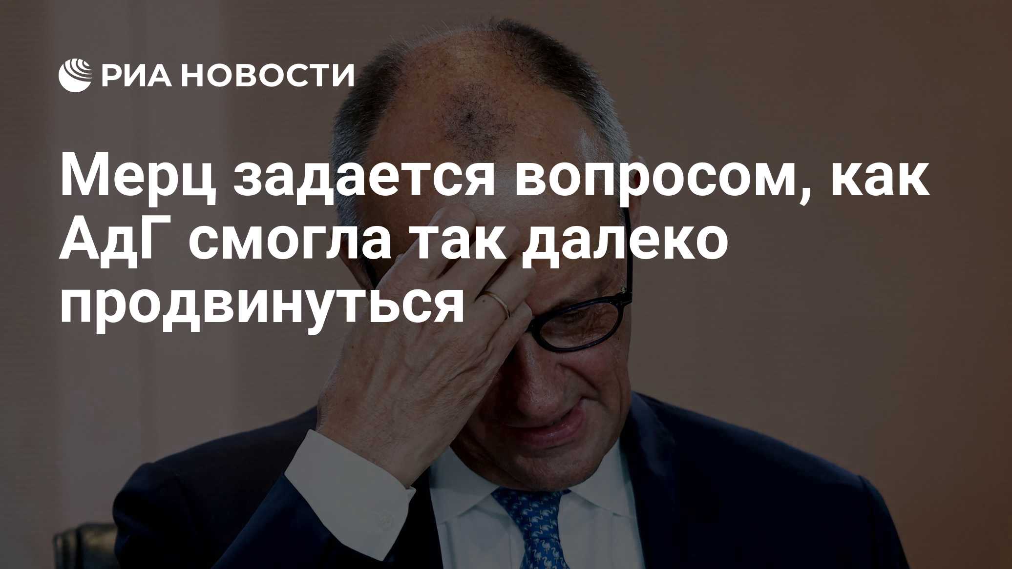 Мерц задается вопросом, как АдГ смогла так далеко продвинуться