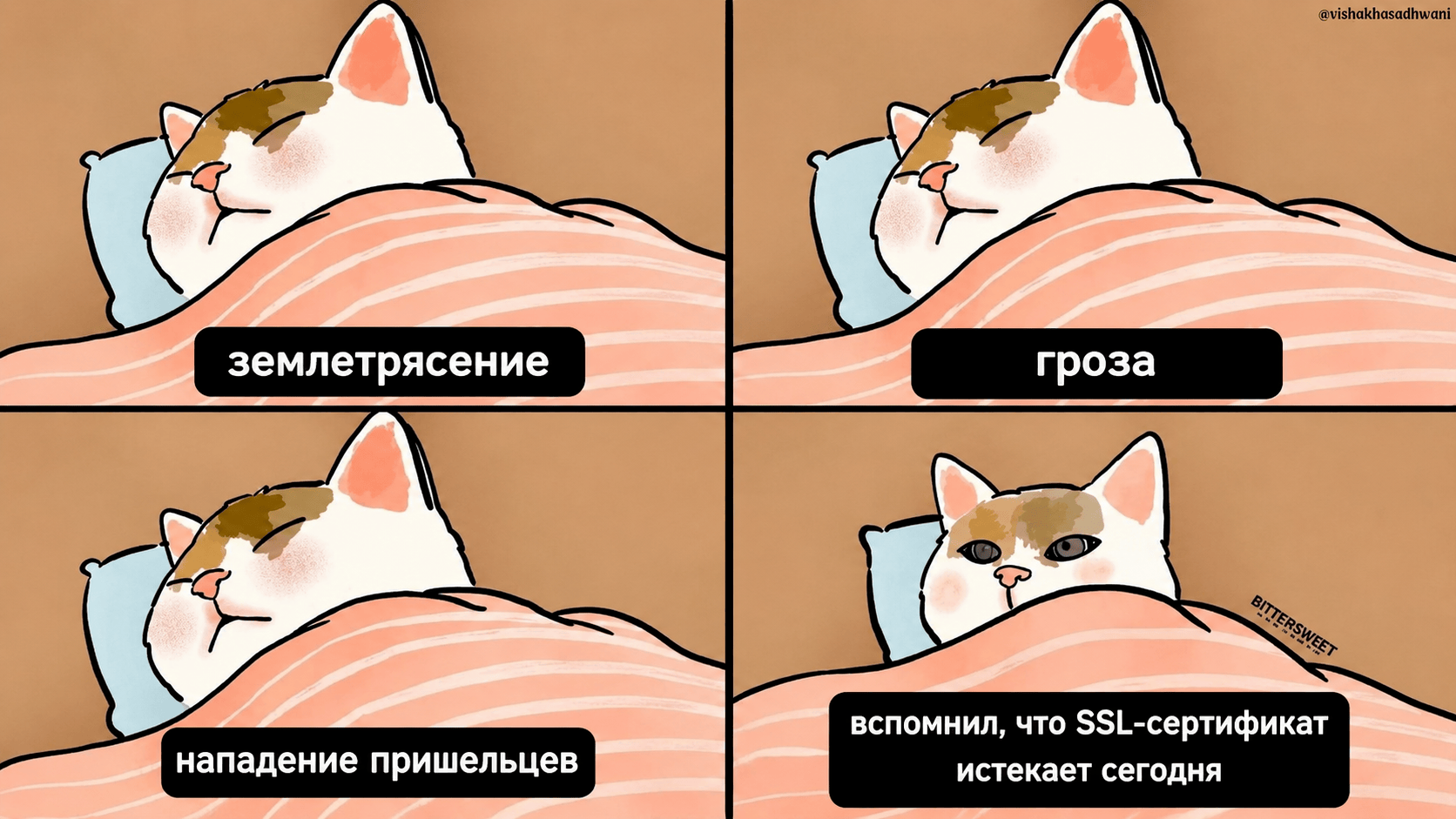 Сертификат истёк, сайт лёг: как быстро вернуть HTTPS и починить автопродление