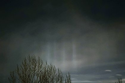 Жителям Подмосковья пообещали полярное сияние