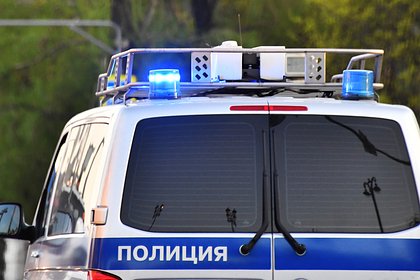 В Петербурге в подарок детям оставили безжизненных попугаев и голубей