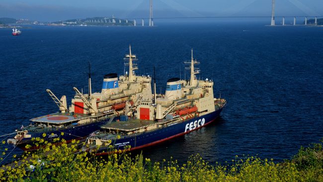 Перевозки по СМП из Азии в Европу будут расти, заявили в МИД
