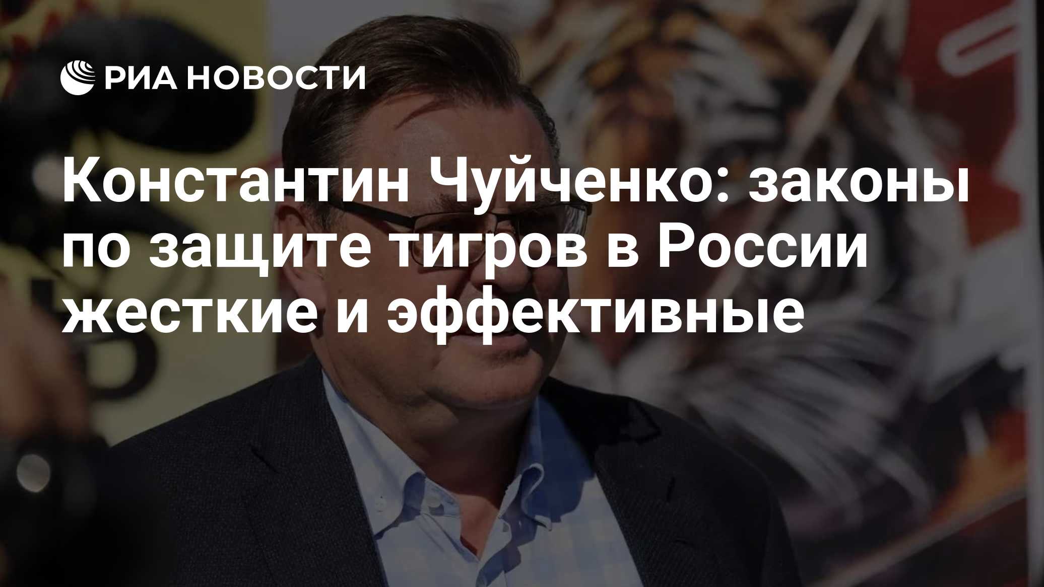 Константин Чуйченко: законы по защите тигров в России жесткие и эффективные