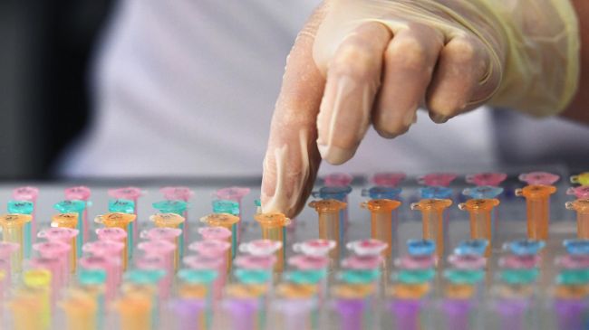 В России разрабатывают безопасное средство от ожирения