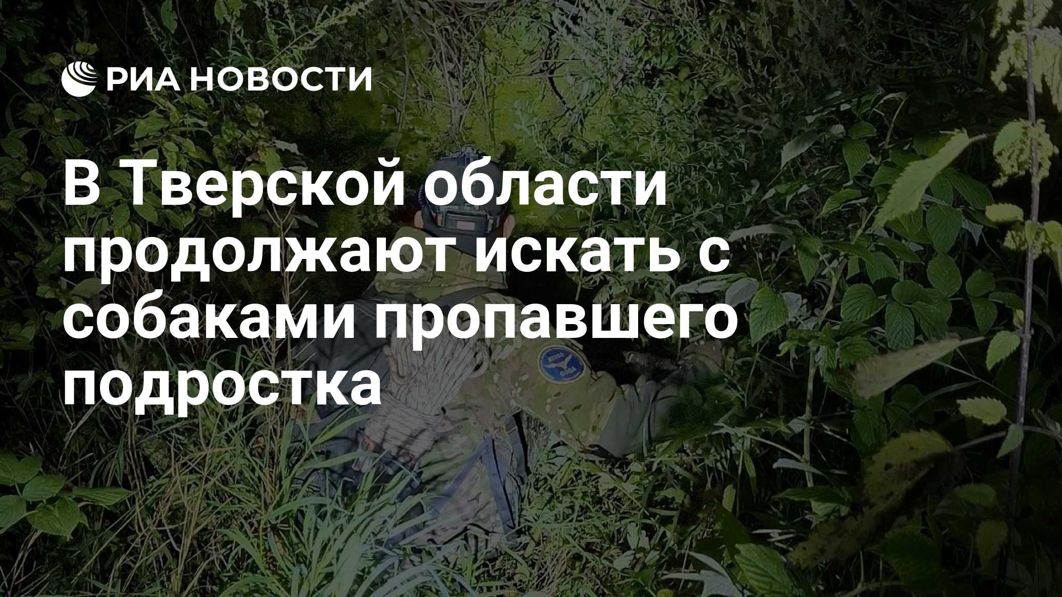 В Тверской области продолжают искать с собаками пропавшего подростка