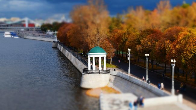 Биолог рассказал, когда в Москве наступит золотая осень