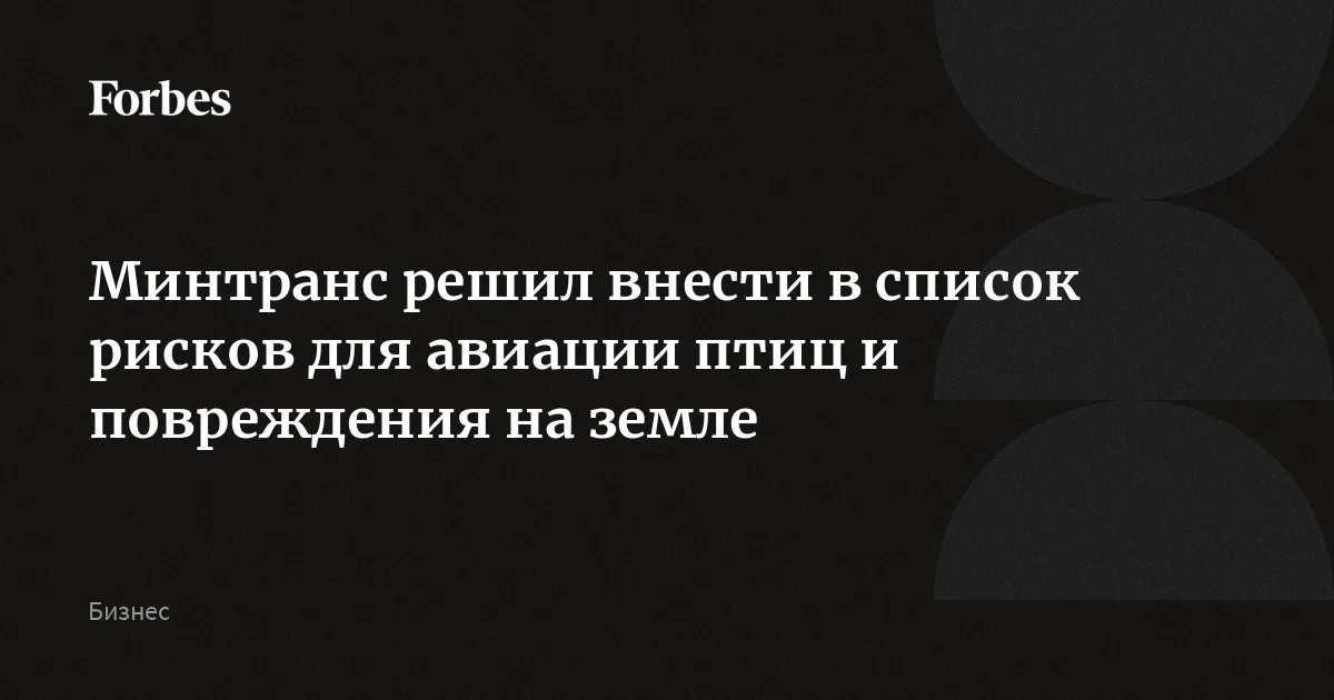 Минтранс решил внести в список рисков для авиации птиц и повреждения на земле
